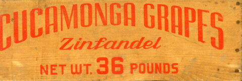 Cucamonga Grapes